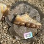 Premium Nike Air Vapormax 2019 Image 3