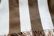 Antique car blanket