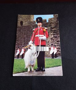 Great Britain Postcards : Goat and Goat Major - Royal Welch Fusiliers