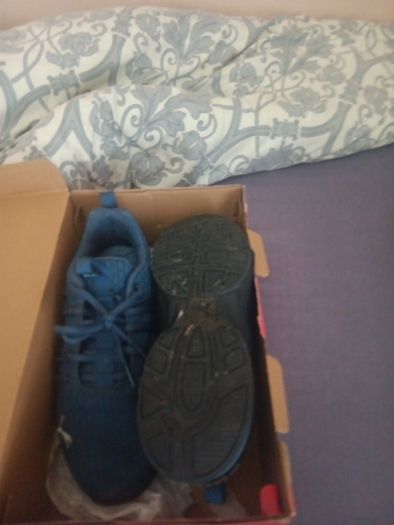 puma