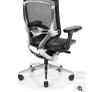 Office Chair (Neue) Image 4