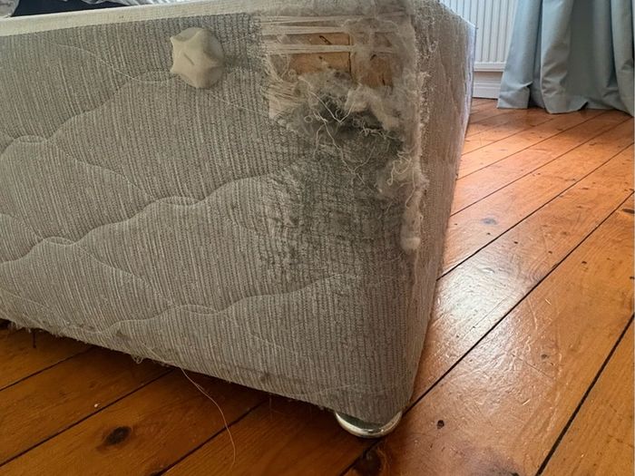 FREE single bed