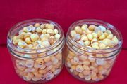 Shells (Yellow Periwinkle)