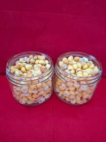 Shells (Yellow Periwinkle)