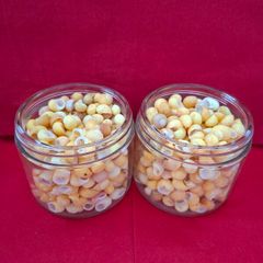 Shells (Yellow Periwinkle)