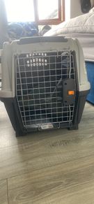 carrier for dogs