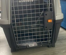 carrier for dogs