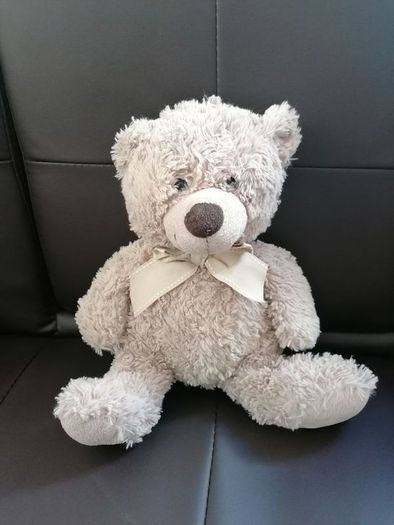 Teddy Bear