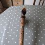 Walking stick Image 2