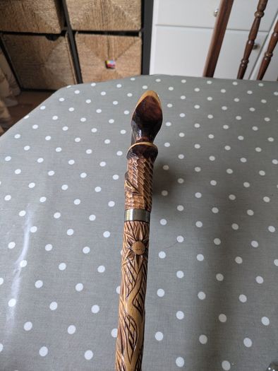Walking stick