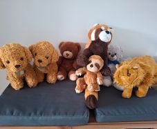 Teddies
