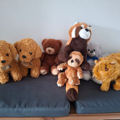 Teddies