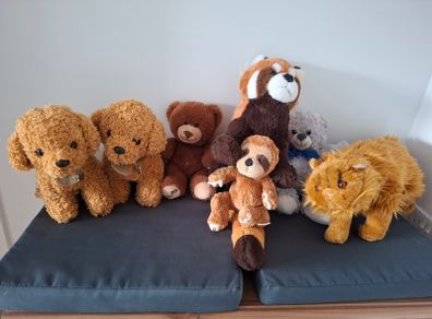 Teddies