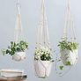NEW SALE | 3 Pack Macrame Plant Hangers Indoor Hanging Planter Basket Flower Pot Holder Cotton Rope with Beads No Tassels, 58cm/73cm/89cm Image 5