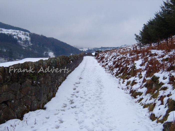 Mounted Original Photography - Lough Dan Winter, Wicklow