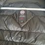 Canada goose hybridge Image 4