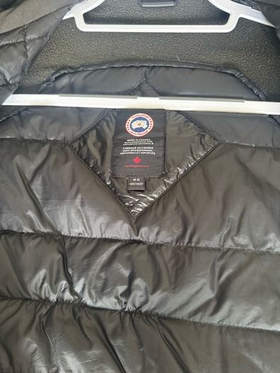 Canada goose hybridge
