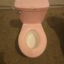 training potty Image 2