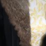 leather coat,good condition, size L Image 4