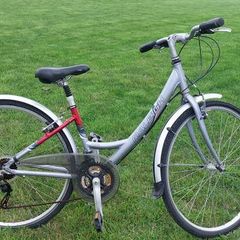 Raleigh bike