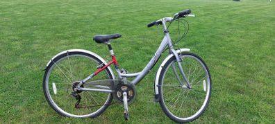 Raleigh bike