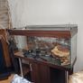 Aquarium  Fish Tank Setup 350 Euro Image 3