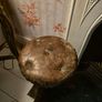 Victorian Rosewood Piano Stool Image 3