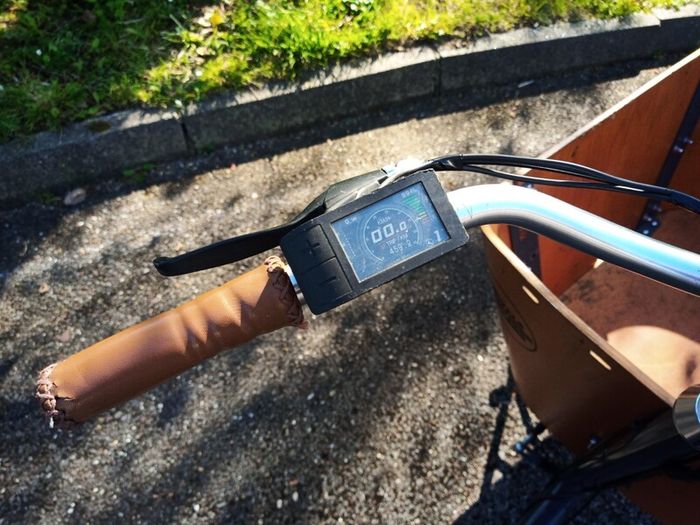 Cargo electric bike