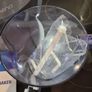 Frozen Drinks Maker Image 5