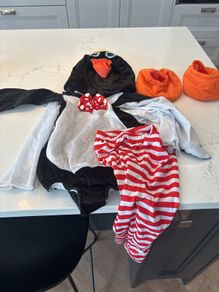 Fancy dress Halloween