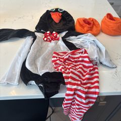 Fancy dress Halloween