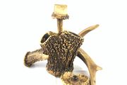 Rare unique antique antler desk set