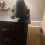 Dinosaur door stop Image 3