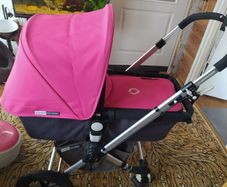 Bogaboo cameleon