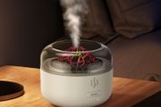 Aromatherapy Humidifier