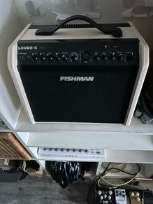 fishman loudbox mini