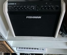 fishman loudbox mini
