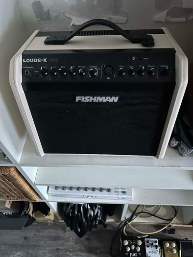 fishman loudbox mini