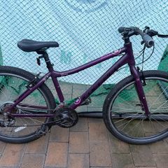 bikes
