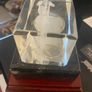 3D Laser Enscribed Cycling Display / Prize Image 4
