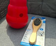 Dog accessories