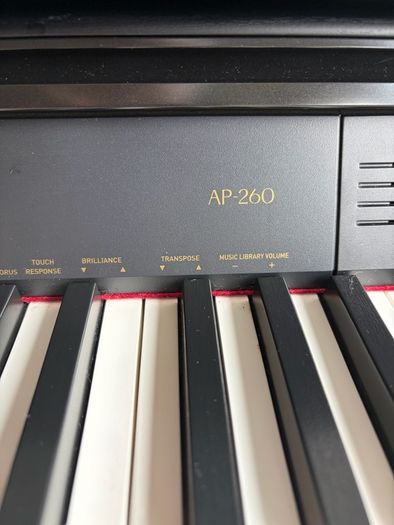 Celviano AP 260