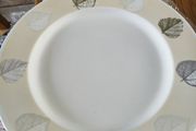 Set of 7 plates by kiln craft Maine b s 6748 dinner plates Maine 30 cm. dimeter made in England c 2000 microwave and dishwasher safe.