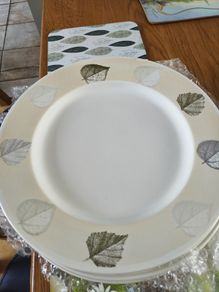 Set of 7 plates by kiln craft Maine b s 6748 dinner plates Maine 30 cm. dimeter made in England c 2000 microwave and dishwasher safe.