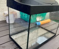 fishtank
