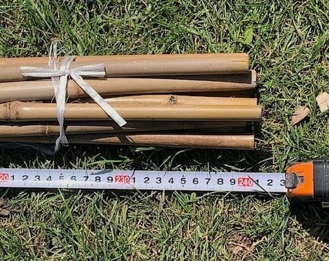 8 foot Garden plant Bamboo poles