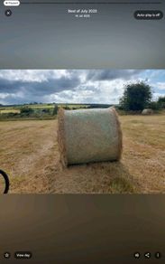 Hay
