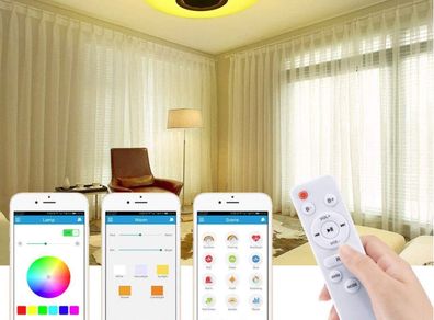 Smart RGB Ceiling Light