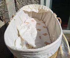 moses basket