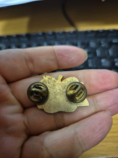 Vintage Express Mail Pin Badge